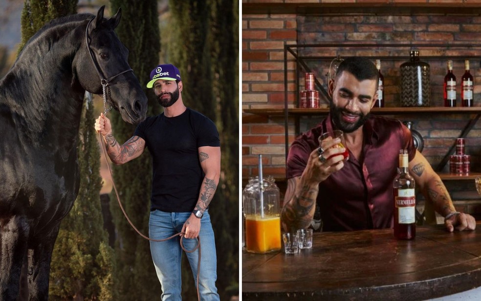 Gusttavo Lima com cavalo do Haras Embaixador; Cantor tambm participa do ramo de bebidas com o licor 'Vermelho'  Foto: Reproduo/Redes Sociais e Divulgao/Better Drinks