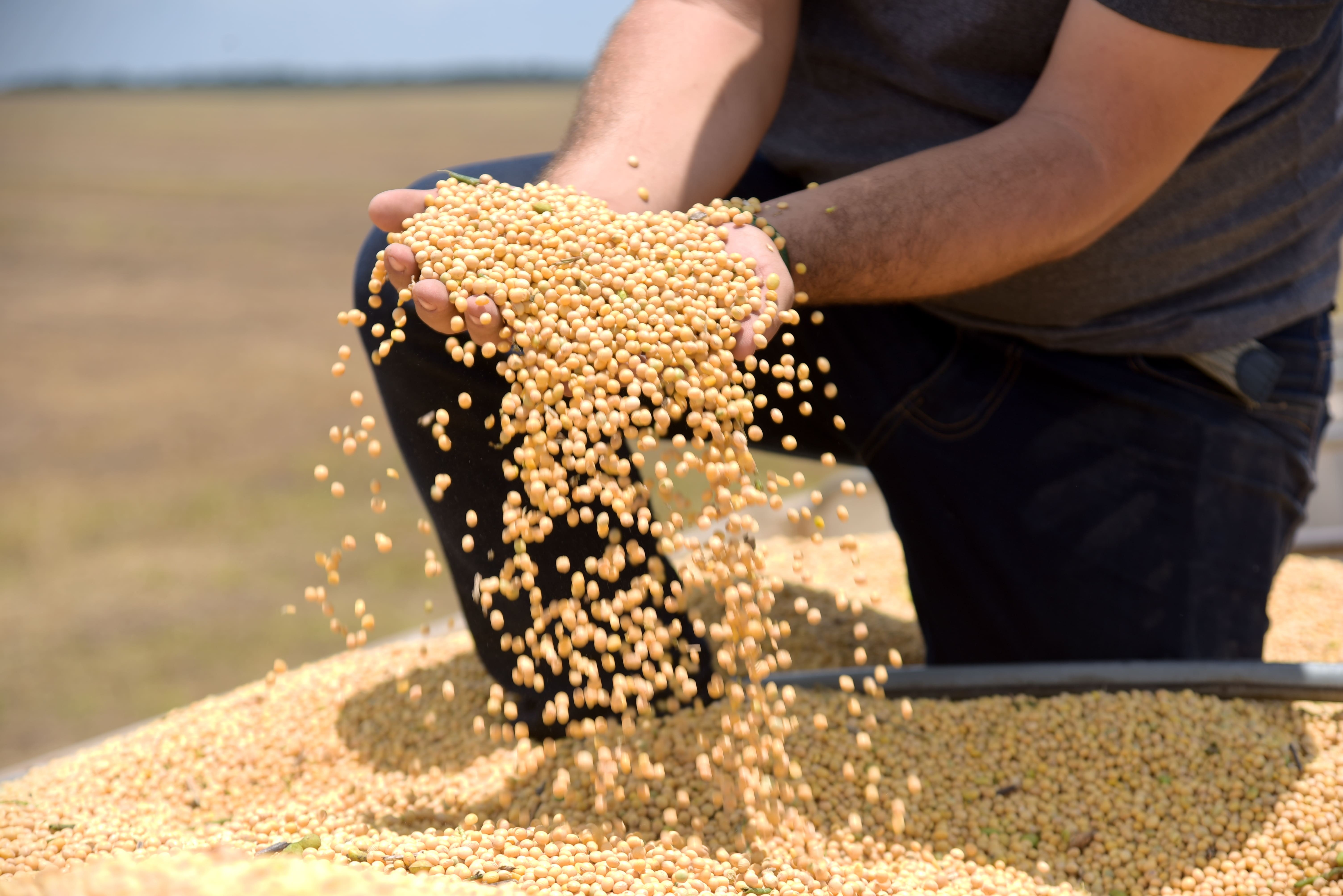 Tarifa dos EUA impacta 36,5% das exportações do agro brasileiro