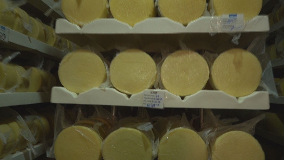 Parmesão, queijo italiano produzido também no Sul de Minas — Foto: Devanir Gino/EPTV