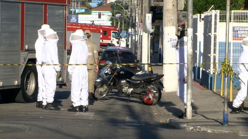 Roupas no atacado em vila clearance velha es