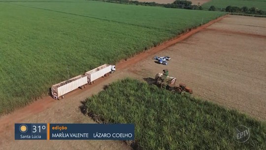 ‘Levante de Guariba’: saiba como ocorreu a evolução do etanol e do açúcar - Programa: Jornal da EPTV 1ª Edição - São Carlos/Araraquara 