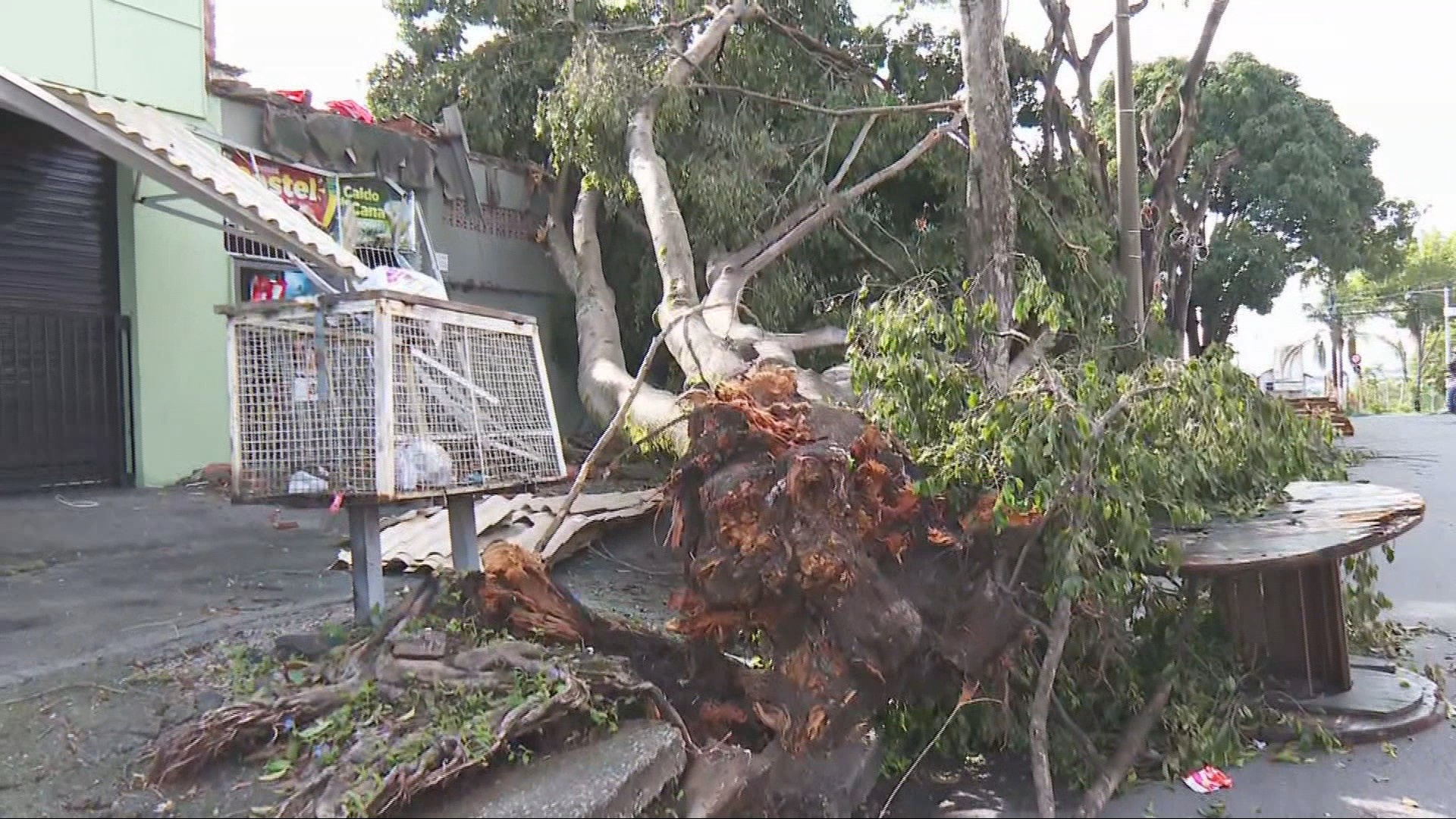 Chuvas intensas devem atingir Minas Gerais até quarta-feira, informa Inmet