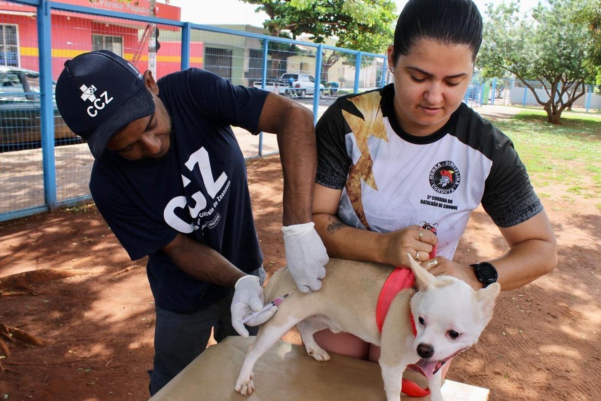 Campanha de vacinação contra a raiva para cães e gatos começa nesta segunda-feira (4) em Campo Grande