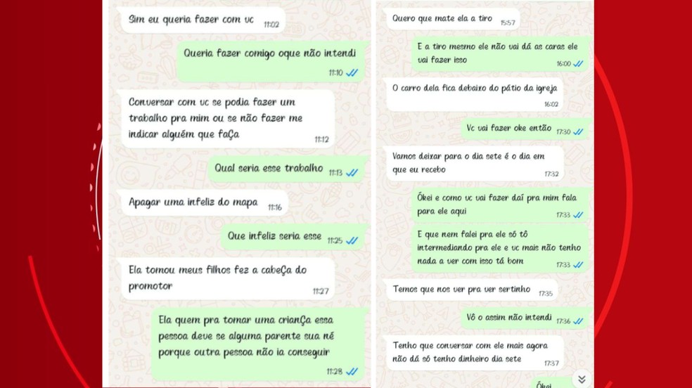 Conversa entre mulher e intermediar, de acordo com a Polícia Civil. — Foto: Reprodução