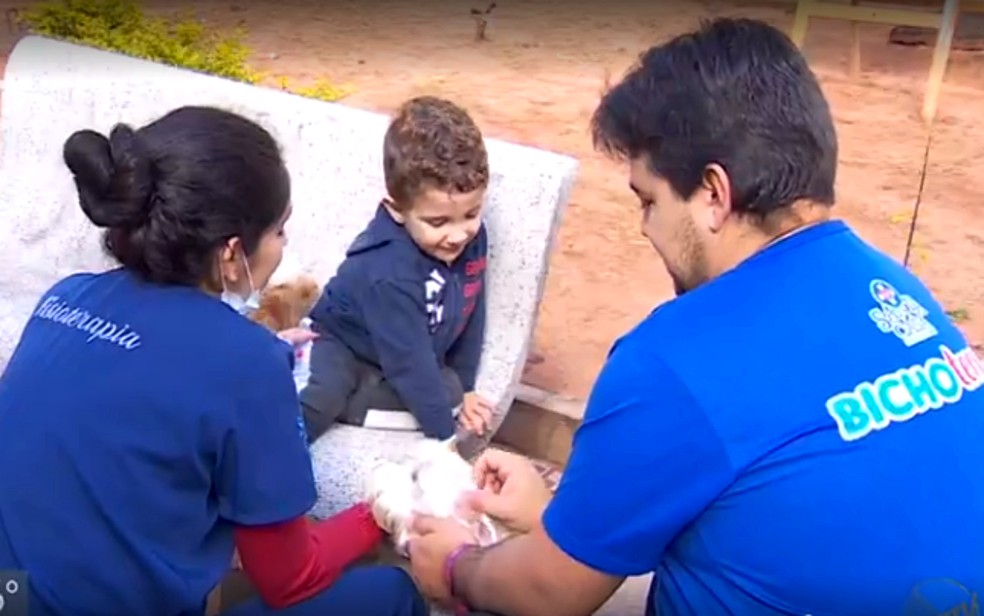 Bichoterapia: cães 'terapeutas' ajudam pacientes durante tratamento na Santa Casa de São Sebastião do Paraíso — Foto: Reprodução/EPTV