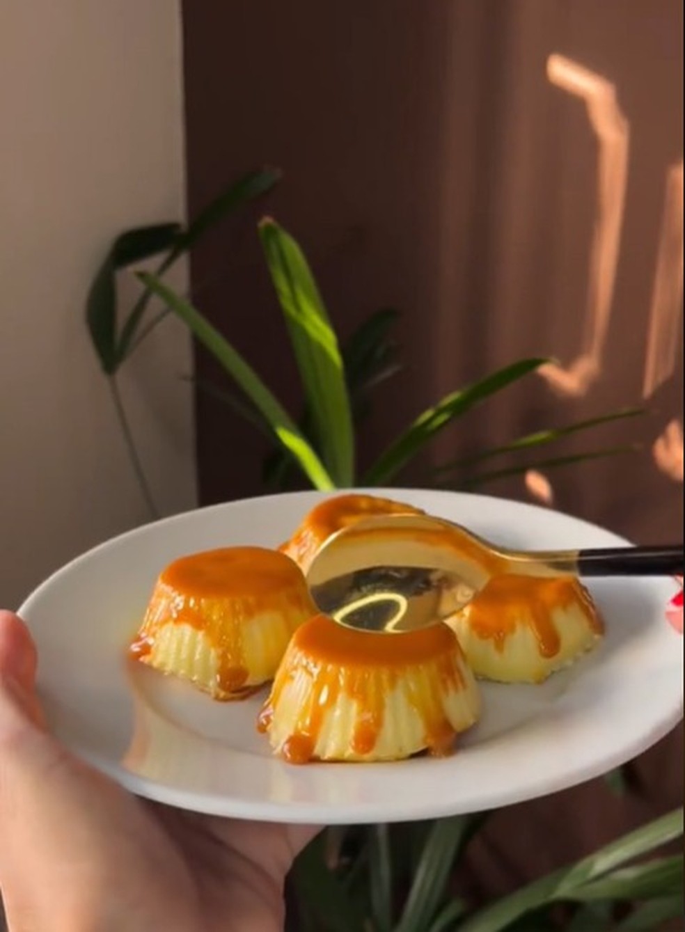 Pudim de leite em verso fitness  Foto: Reproduo/TikTok