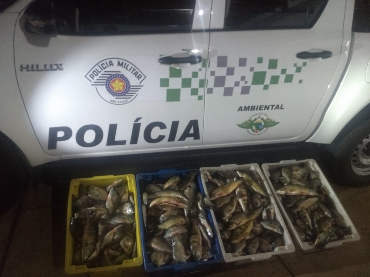 Piracema tem início nesta sexta-feira e restringe pesca em rios do Oeste Paulista