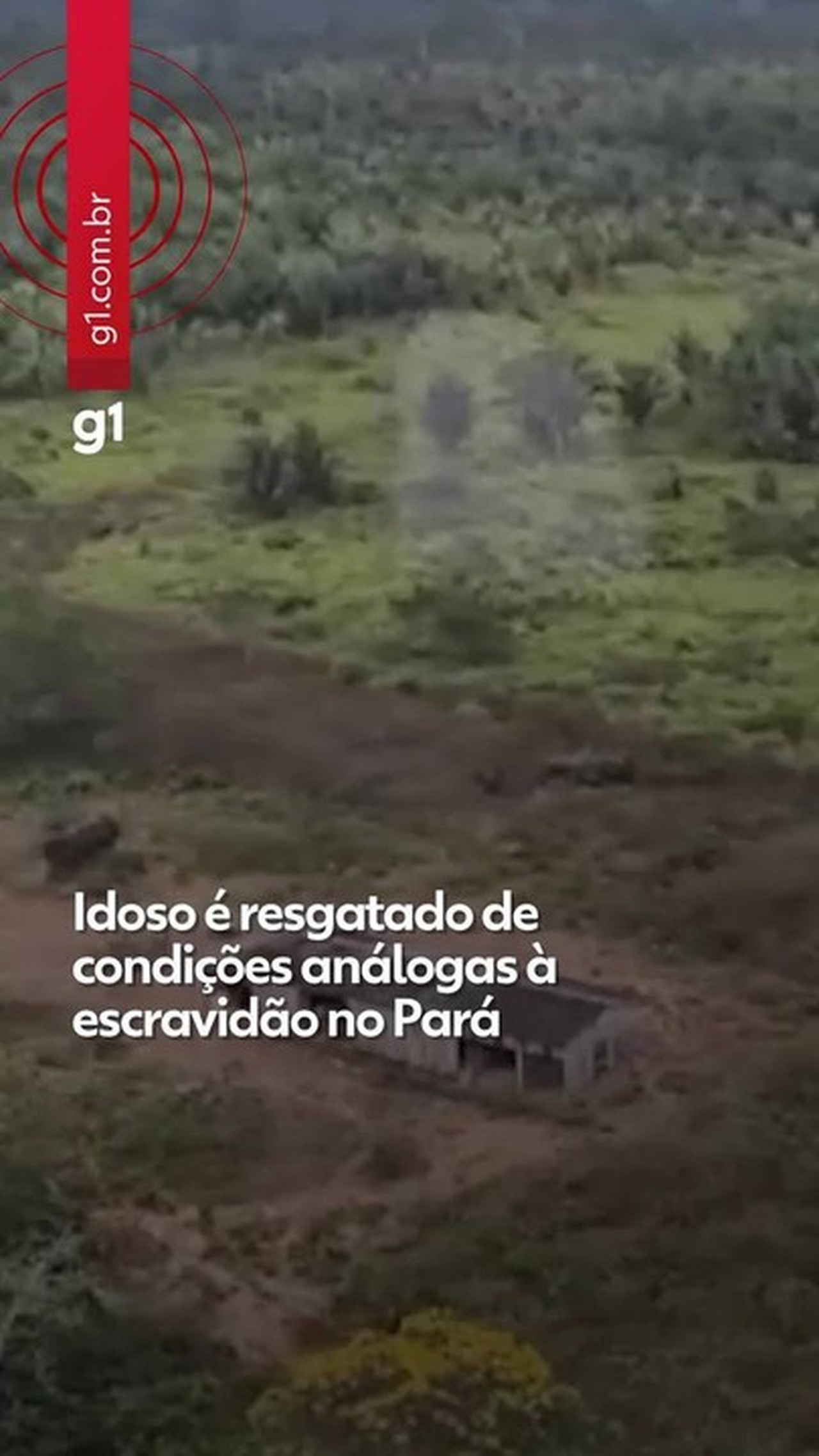 Images show the place where a worker in a situation similar to slavery was rescued by helicopter in the Amazon