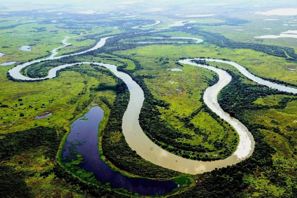 
Potência turística: Pantanal vira vitrine mundial e sustenta gerações em Mato Grosso
