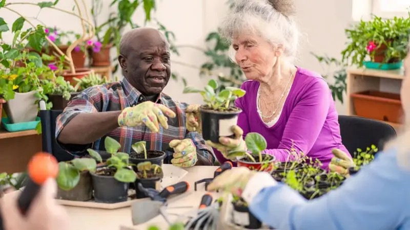 Como cuidar de plantas ajuda a viver mais e melhor