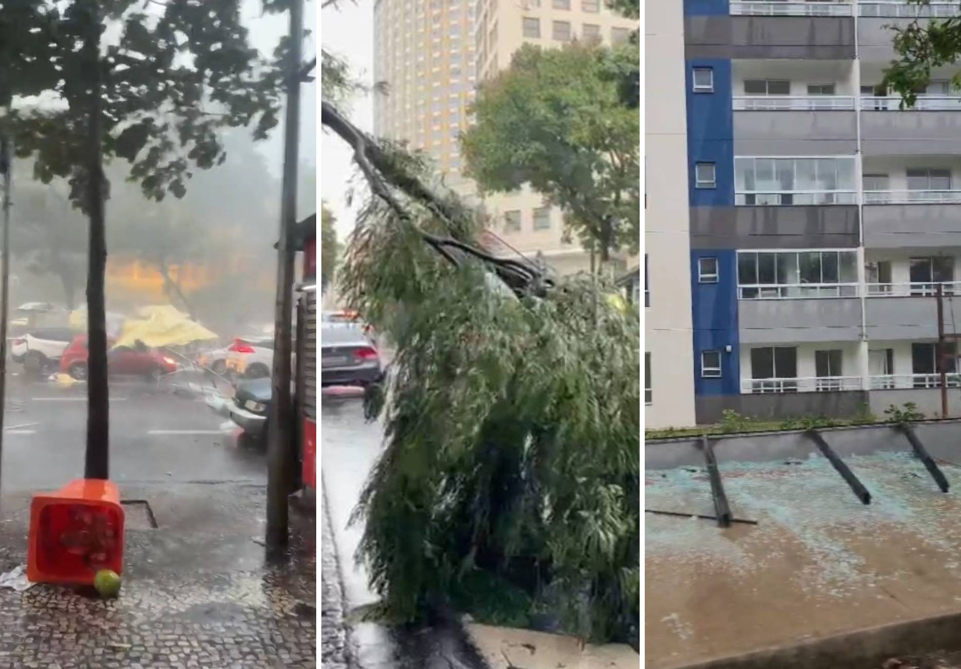 Chuva em BH deixa local de votação sem luz, alaga ruas, destelha imóveis e derruba árvores; uma pessoa é procurada por bombeiros