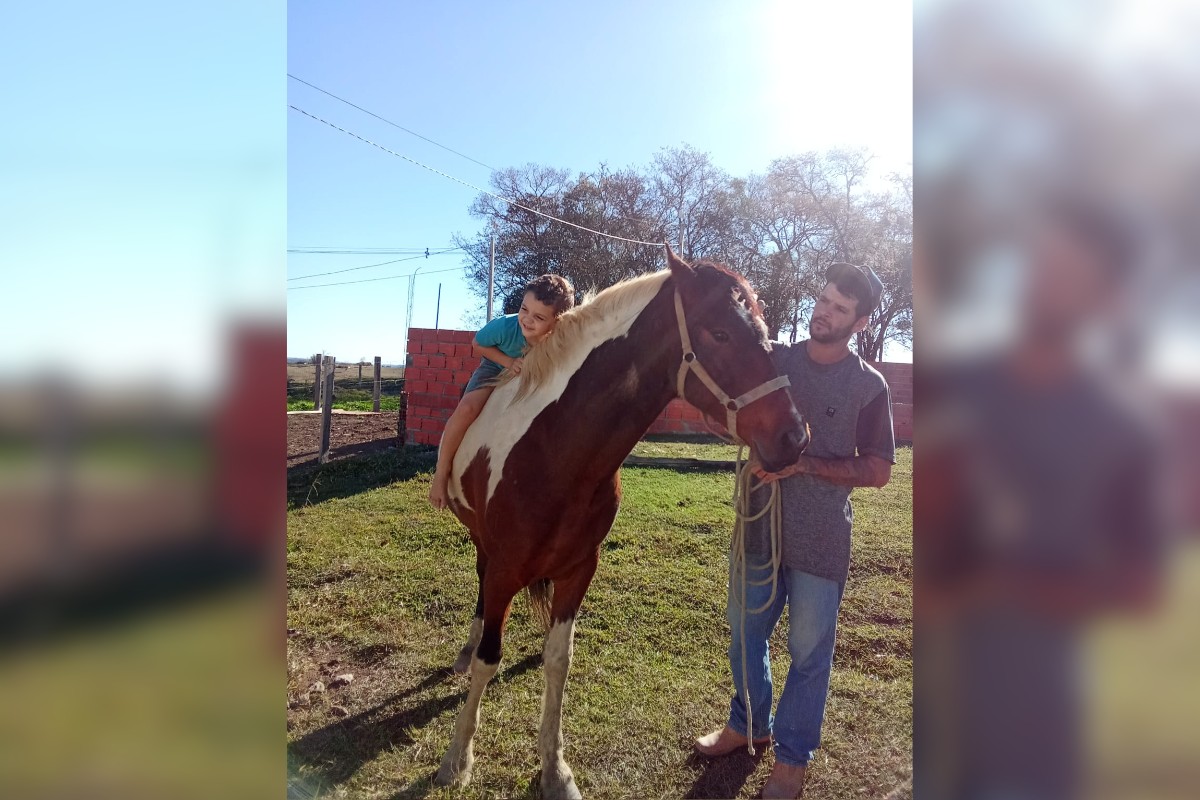 Cavalo 'terapeuta' de criança autista é encontrado após quase uma semana desaparecido no interior de SP