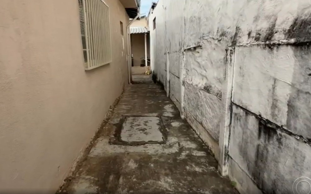 Menino de 2 anos é extubado em hospital após ser picado por escorpião dentro de casa, diz pai