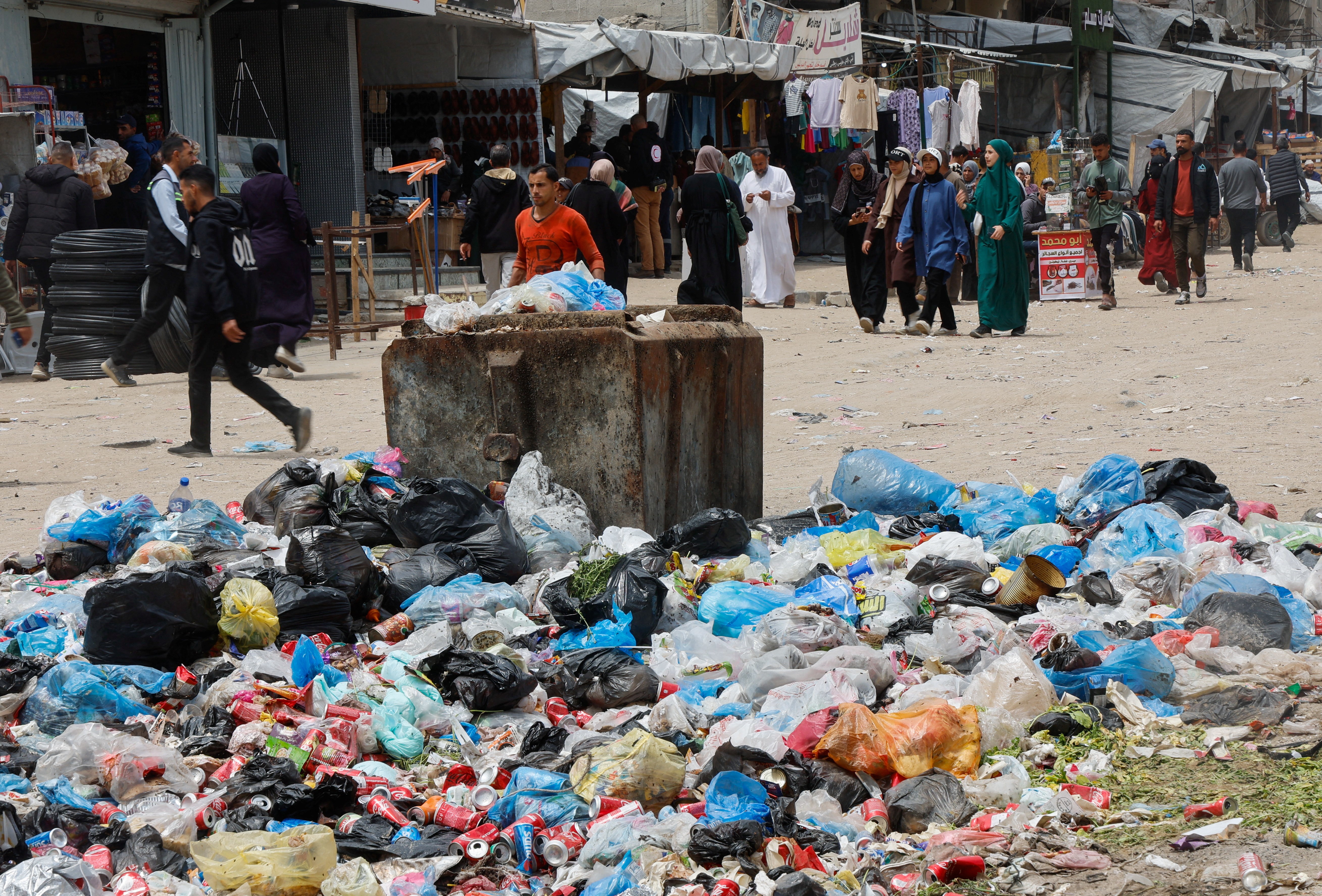 Infestação de ratos espalha doenças em acampamentos de deslocados em Gaza