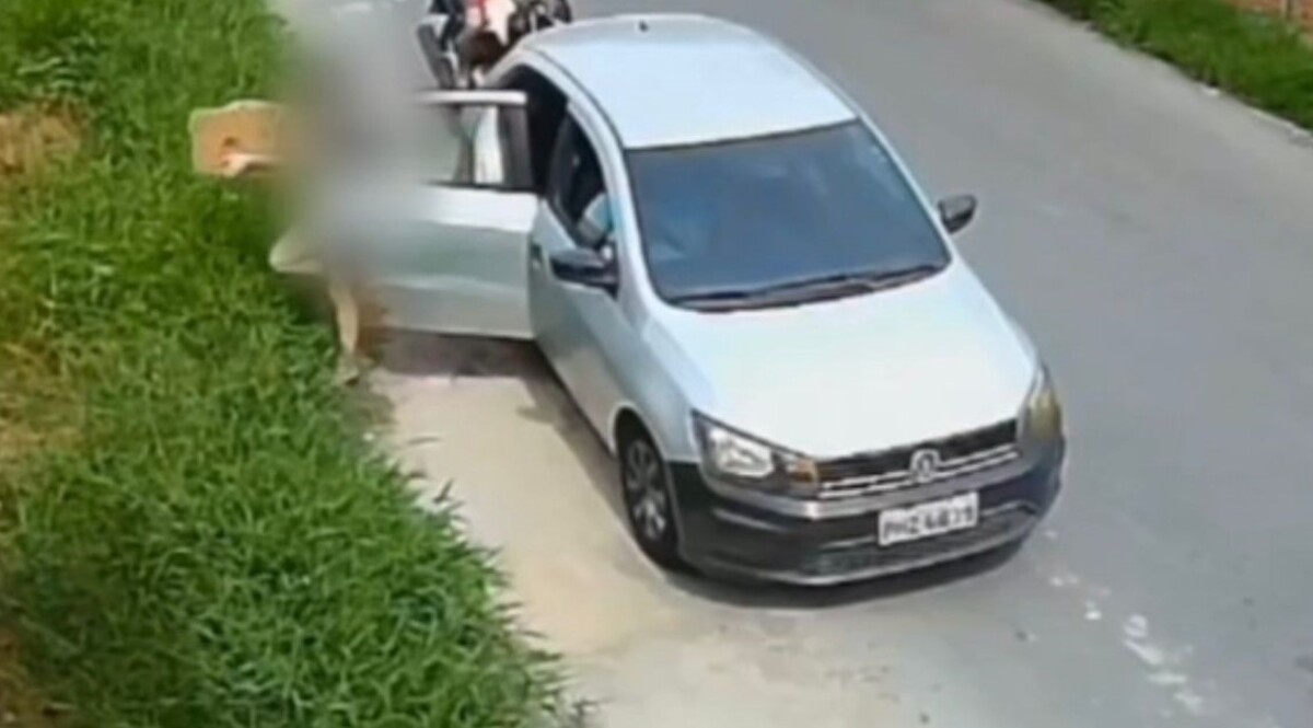 Mãe e filha que abandonaram filhotes de cachorro responderão por crime de maus-tratos em Manaus 