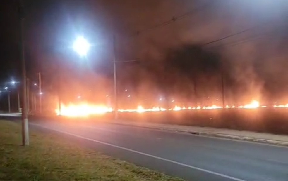 Defesa Civil trabalha no combate às chamas às margens da SP-321 em Bauru (SP) — Foto: Defesa Civil/Divulgação