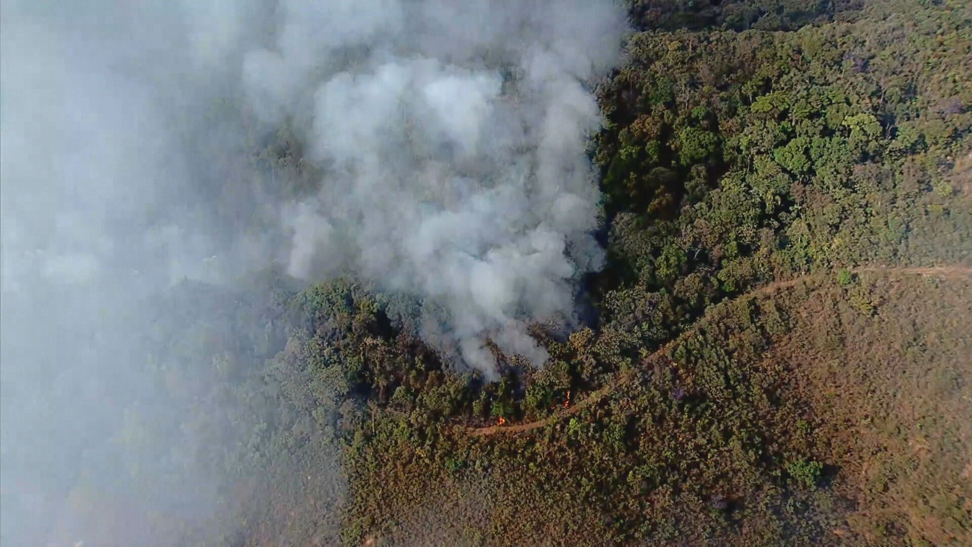 Incêndios em MG queimaram 17% da área total do estado em 40 anos