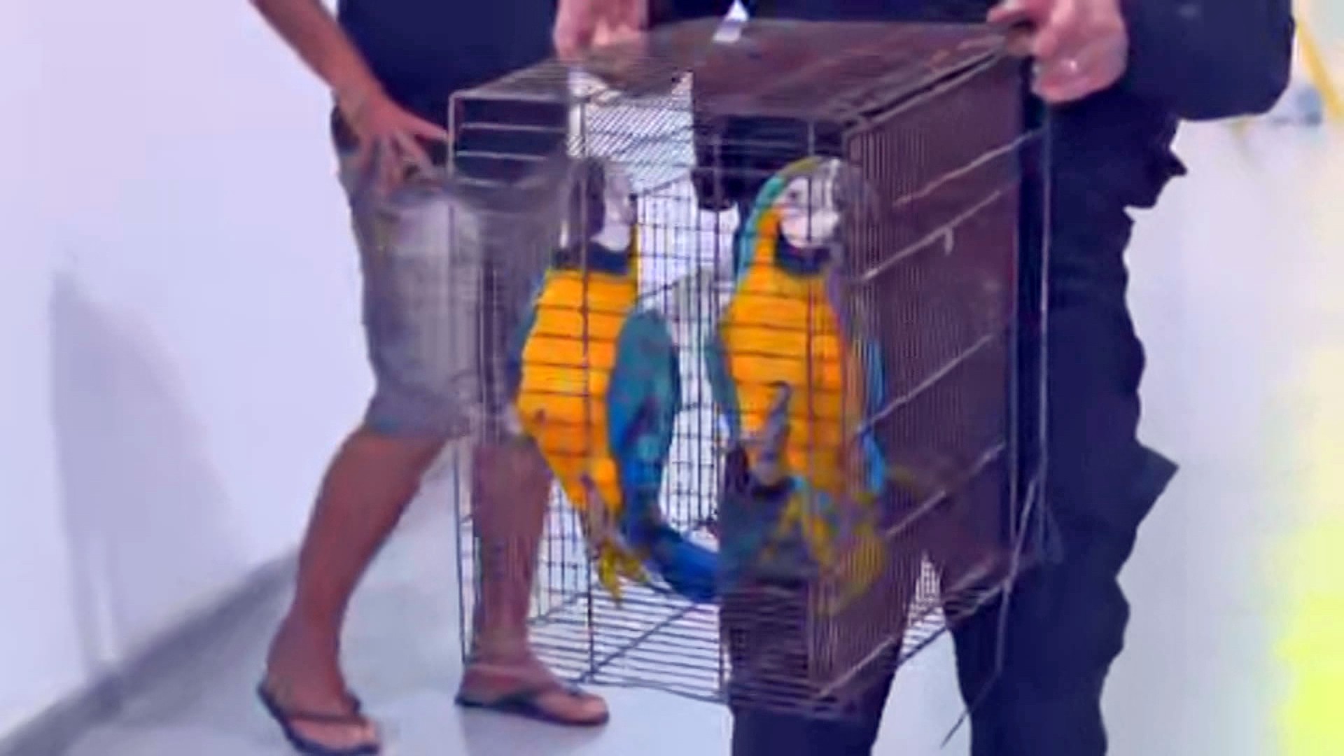 Operação mira lixões do Comando Vermelho em Duque de Caxias