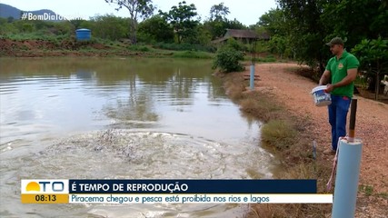 Período de Piracema: pesca está proibida em rios e lagos