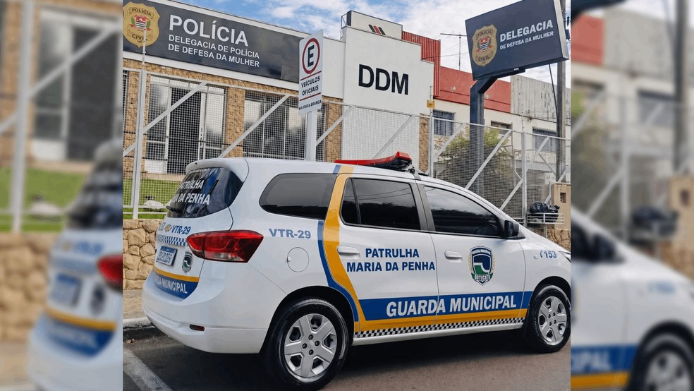 1 de 1
Casos foram atendidos pela Guarda Civil Municipal (GCM) e apresentados &agrave; Delegacia de Defesa (DDM) em Botucatu (SP) &mdash; Foto: Guarda Civil Municipal/Divulga&ccedil;&atilde;o