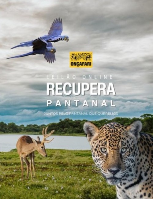 Leilão para ajudar na recuperação do Pantanal tem safari na África, fotos exclusivas e camisetas autografadas 