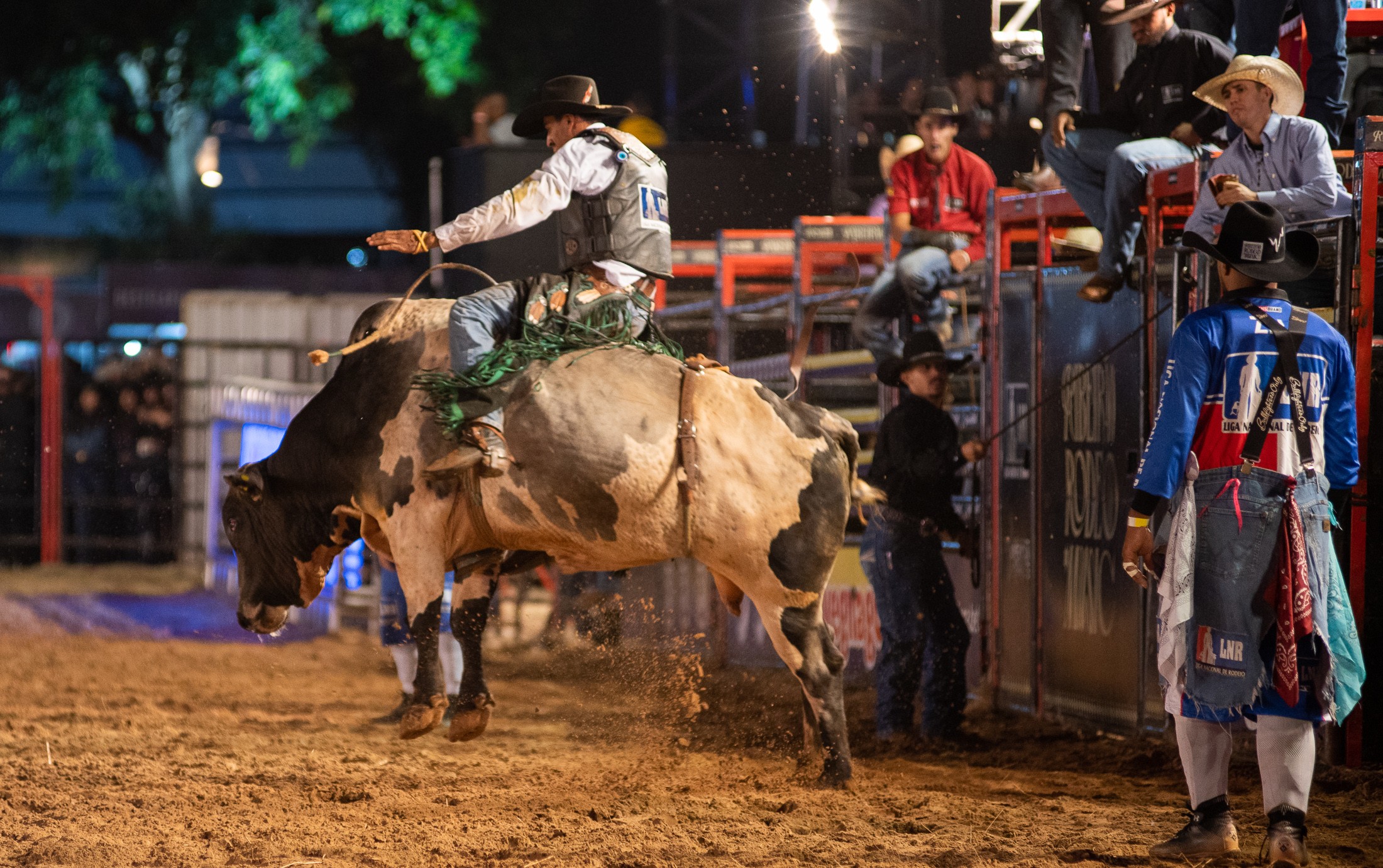 Dennis faz público descer até o chão ao som do funk no Ribeirão Rodeo ...