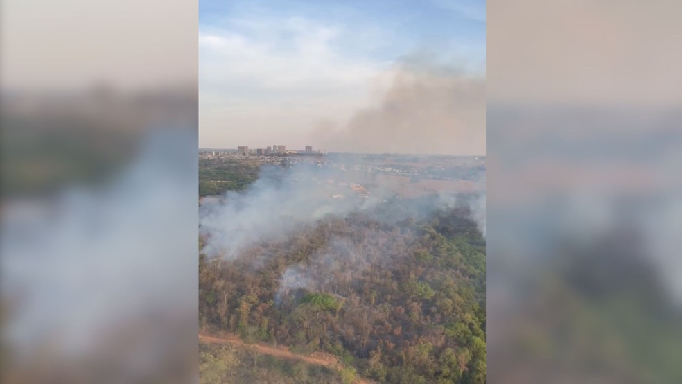 Incêndio de grandes proporções na Floresta Estadual do Noroeste Paulista em São José do Rio Preto (SP) — Foto: Divulgação