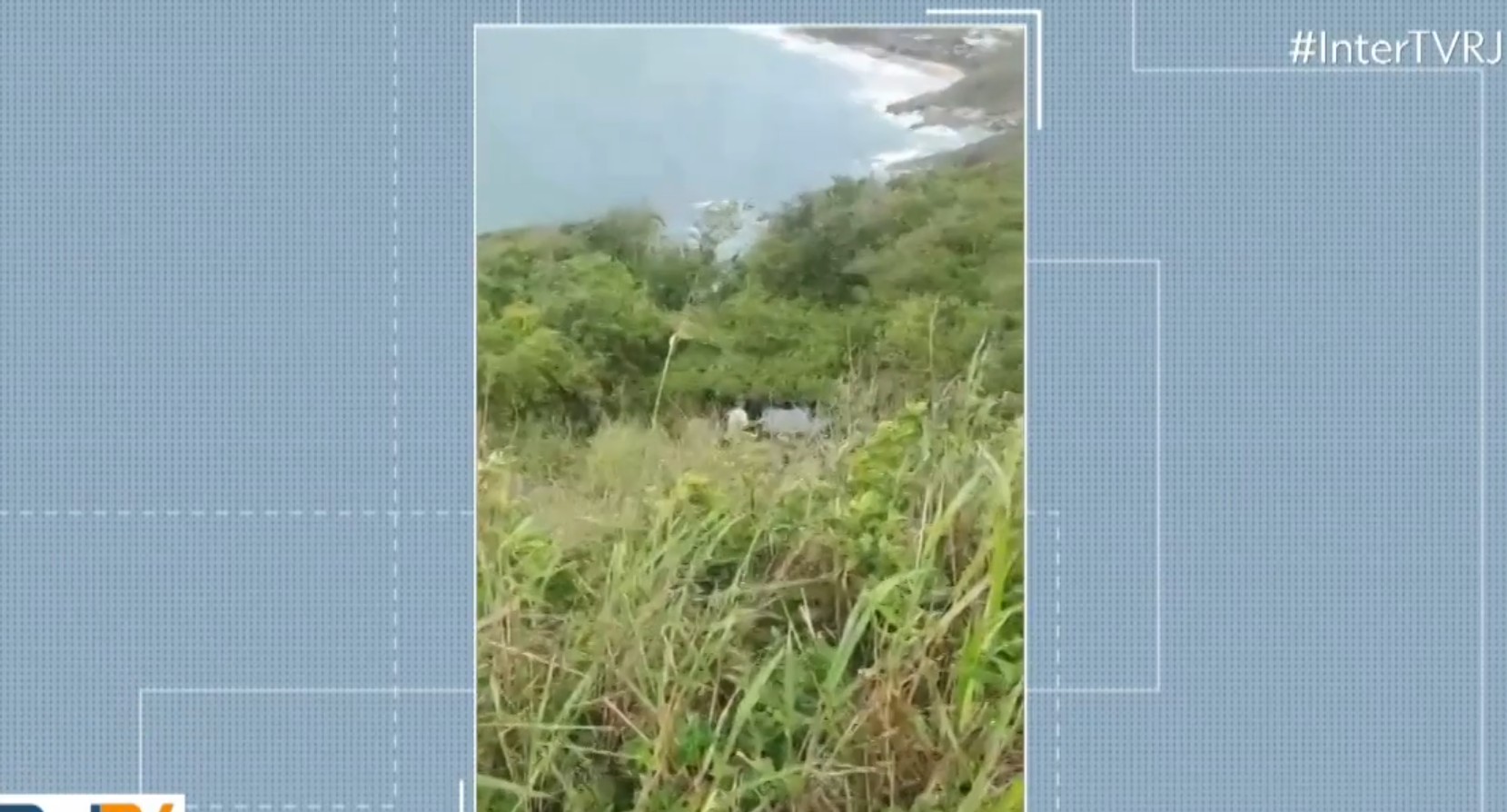 Você Não Tá Convidada pro Meu Bat Mitzvá!