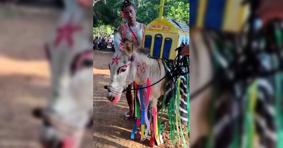 Jumento Manco, com fantasia da Igreja de Nossa Senhora da Saúde, foi o vencedor do concurso em 2023 — Foto: Reprodução