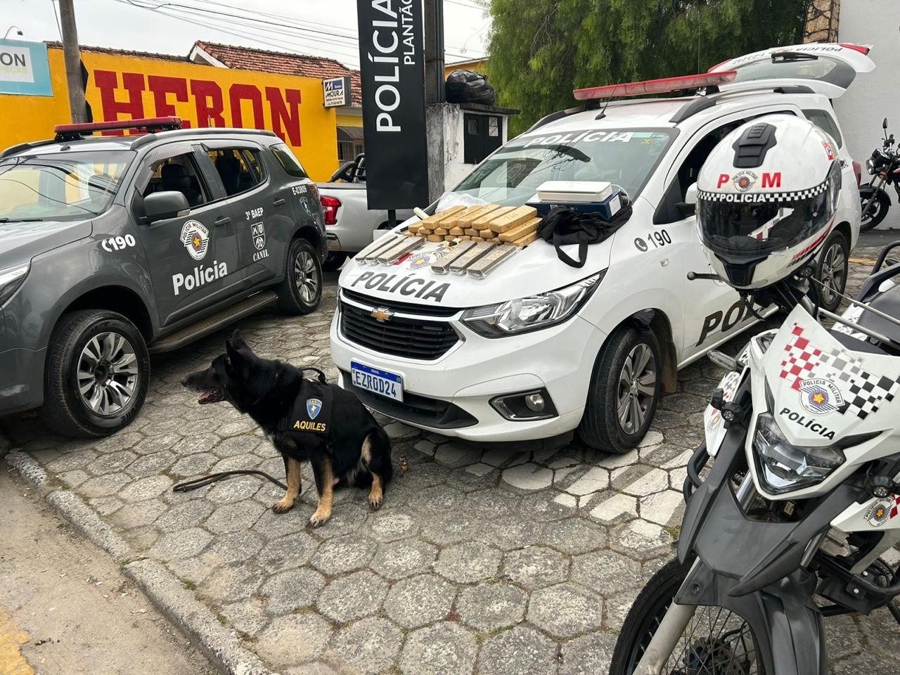 Com ajuda de cães farejadores, PM apreende 26 tijolos de maconha em Guará