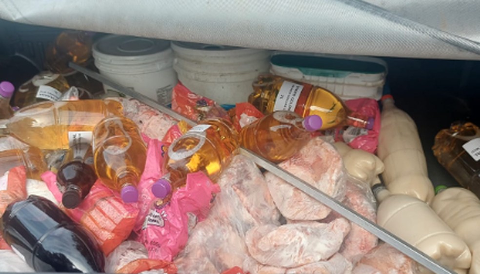 MP flagra abate clandestino e apreende 3,6 toneladas de carne e embutidos vencidos em SC | Santa Catarina | G1