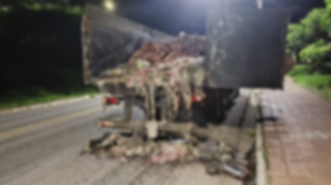 Carga de carniça cai de caminhão e se espalha pela BR-356; VÍDEO 