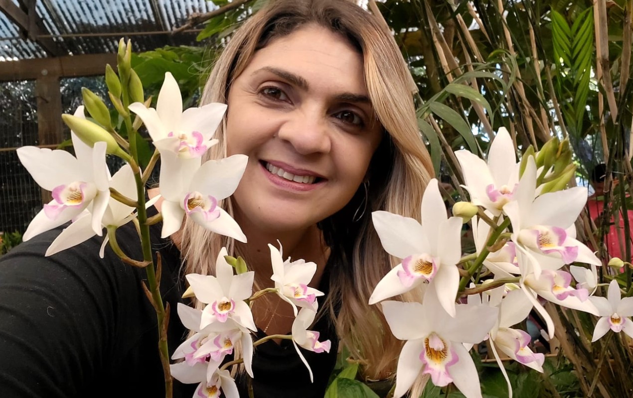 Orquídeas crescem em pedras? Colecionadora fala sobre as variações de habitats da flor e diferentes métodos de cultivo
