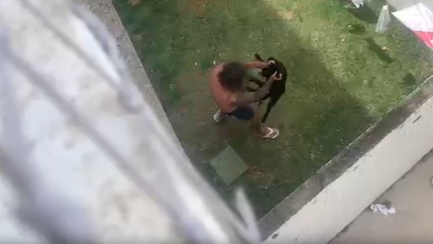 Homem espanca cachorro em quintal de casa em Jundiaí; imagens são fortes