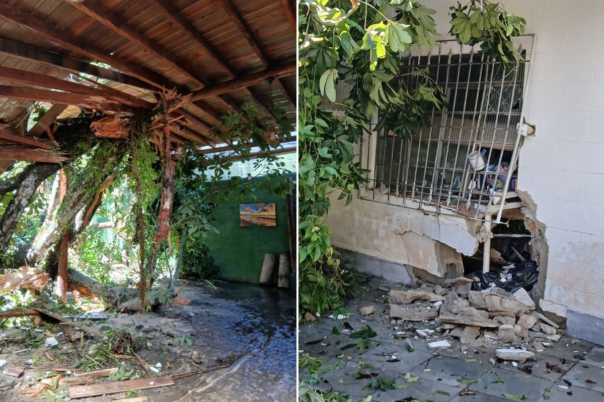 Deslizamento arrasta árvores e atinge restaurante no litoral de São Paulo