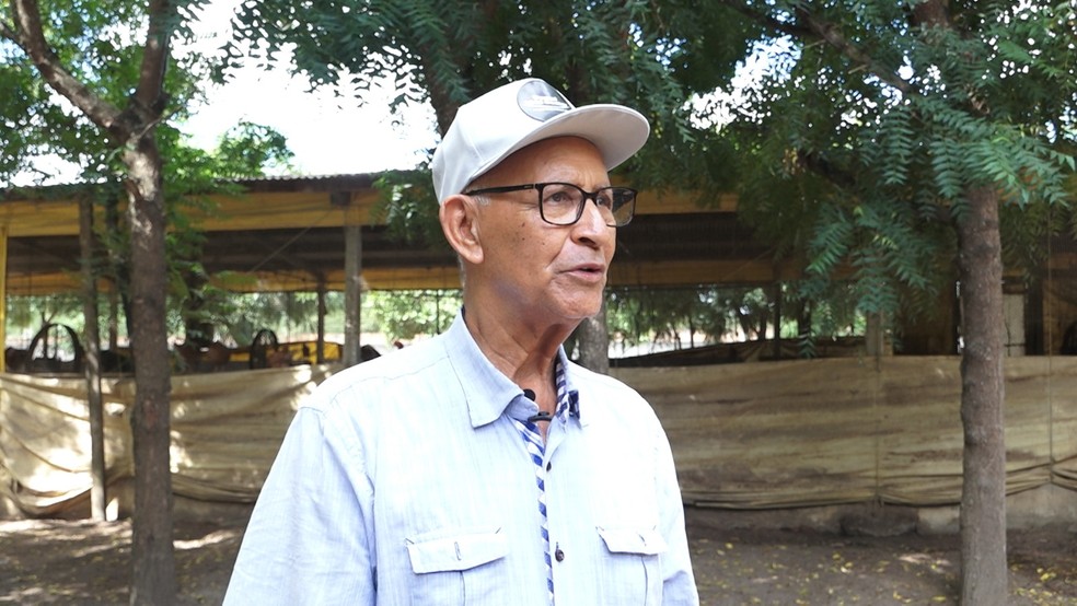Produtor rural Manuel Cerqueira mantém um plantel com 9 mil aves no interior da Bahia — Foto: Reprodução/TV Subaé