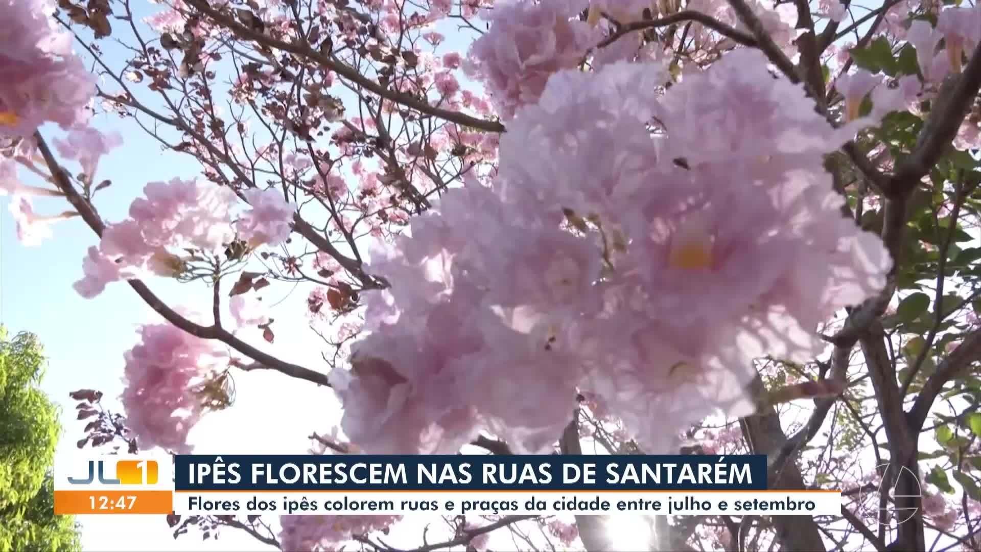 VÍDEOS: JL1 de segunda-feira, 24 de agosto de 2026