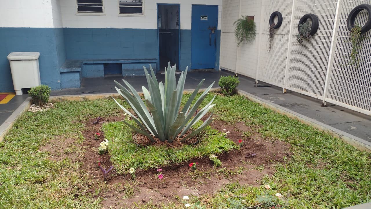 Aula de artes, futsal, leitura e psicóloga: como é o atendimento a adolescentes na Fundação Casa de Sorocaba