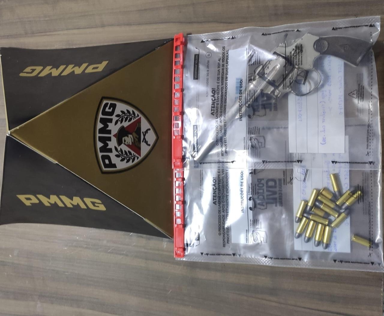 Arma e munições são encontradas em telhado durante ocorrência de violência doméstica