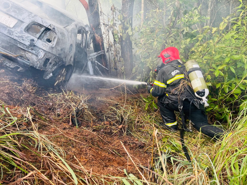 Bombeiro combate chamas em carro, que capotou e bateu em árvore no Tocantins — Foto: Divulgação