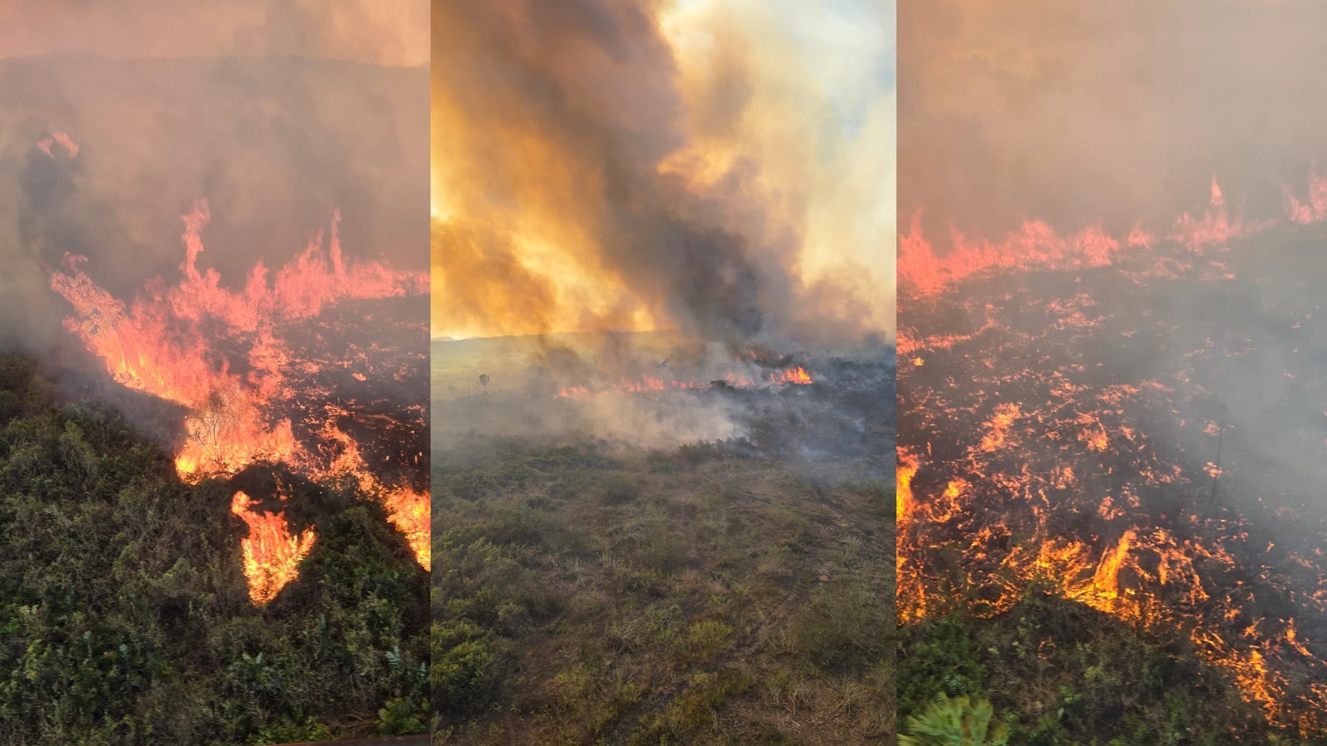 Pantanal bate marca de 800 mil hectares queimados neste ano