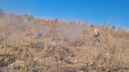 Tocantins intensifica o trabalho para evitar incêndios florestais