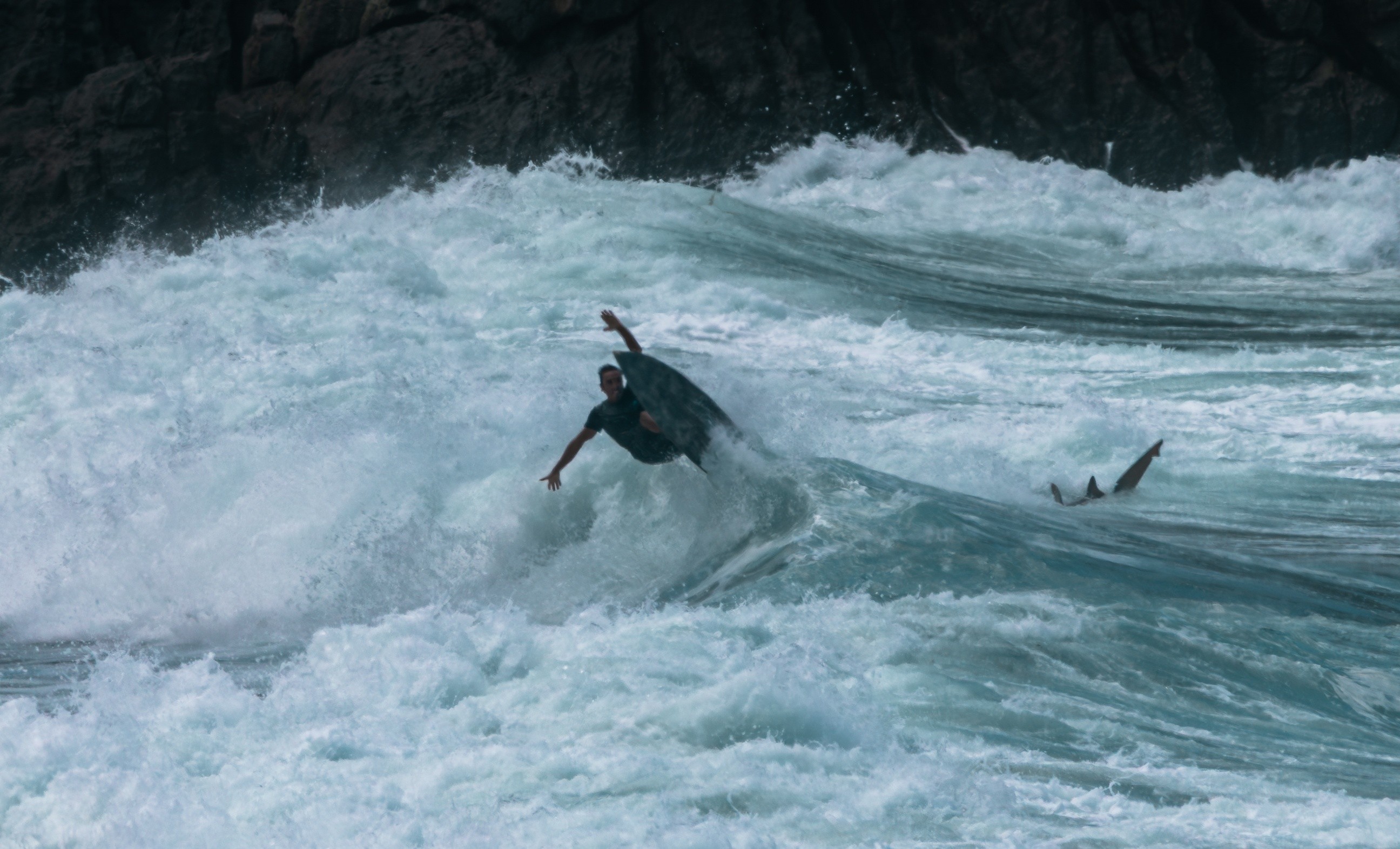Fotógrafo flagra surfista e tubarão na mesma onda em Fernando de Noronha
