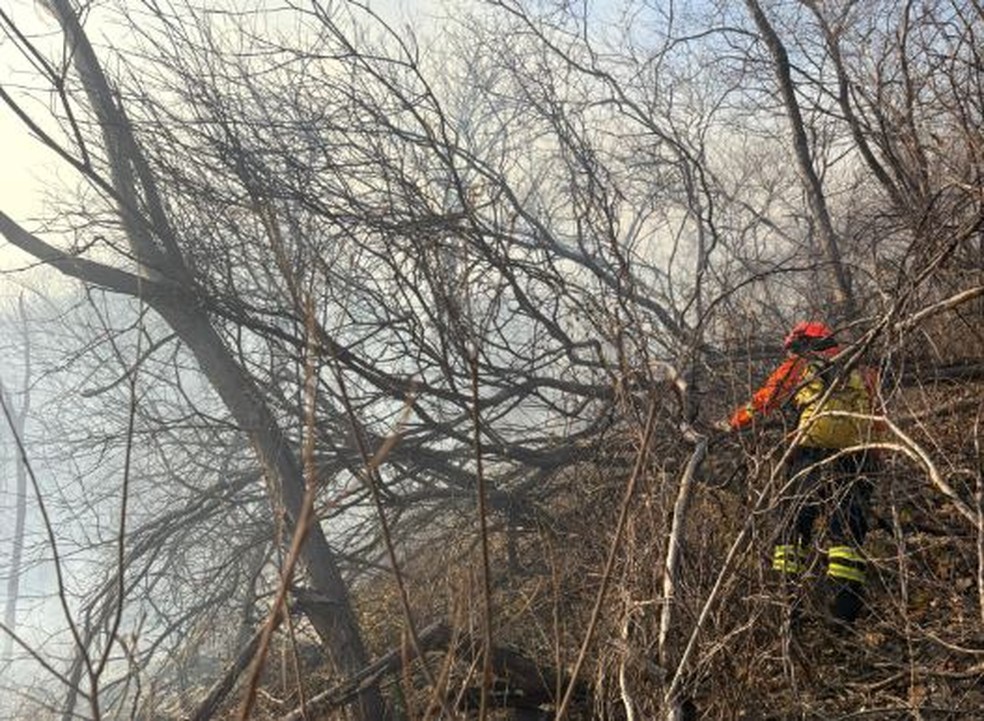 Corpo de Bombeiros controlando incêndio florestal na mata de São José do Bonfim, no Sertão da Paraíba — Foto: Major Galvão/Corpo de Bombeiros da Paraíba