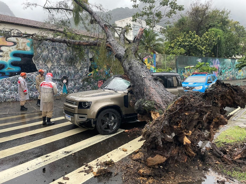 Na Lagoa, na Zona Sul, uma árvore caiu e interditou um trecho da Avenida Borges de Medeiros — Foto: Lucas Madureira / TV Globo