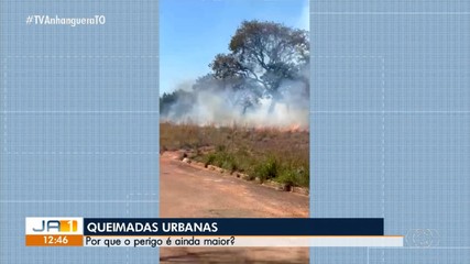 Crime ambiental: saiba qual é a punição para quem provoca incêndio