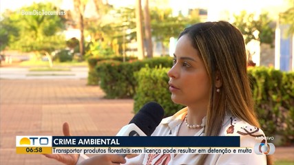 Transportar produtos florestais sem licença ambiental pode gera multa; entenda