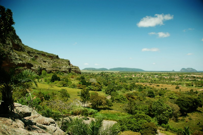 Caatinga entra na agenda global do clima com evento em seis cidades do Agreste de Pernambuco