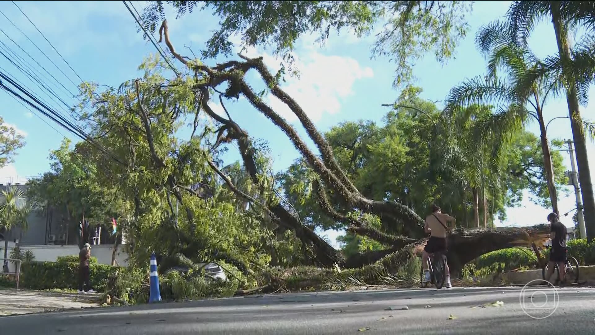 Há 10 anos, paulistanos enfrentam tempestades cada vez mais intensas; especialistas alertam para necessidade de prevenção 