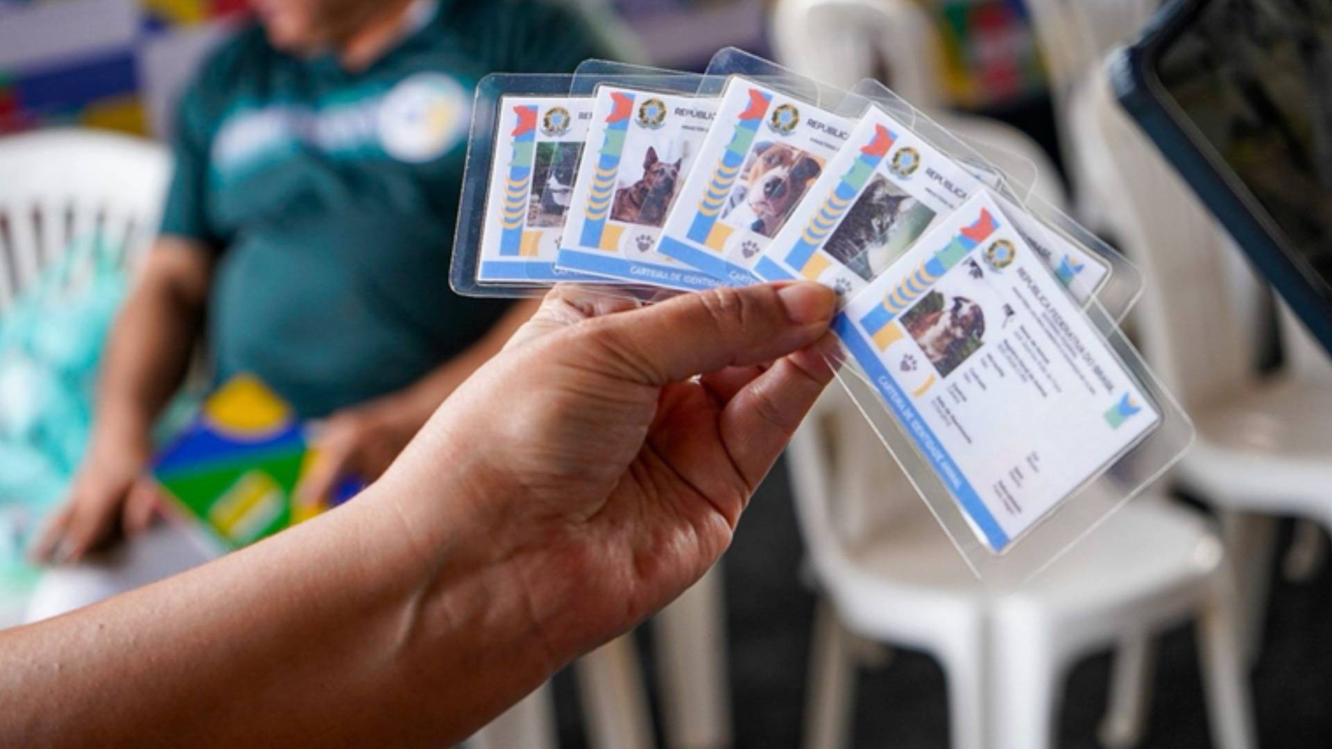 Mutirão realiza emissão de documentos, perícia do INSS e vacinação de pets em Fortaleza; veja como participar